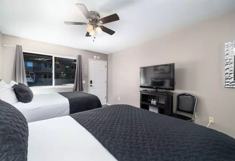 酒店 The Alder Inn