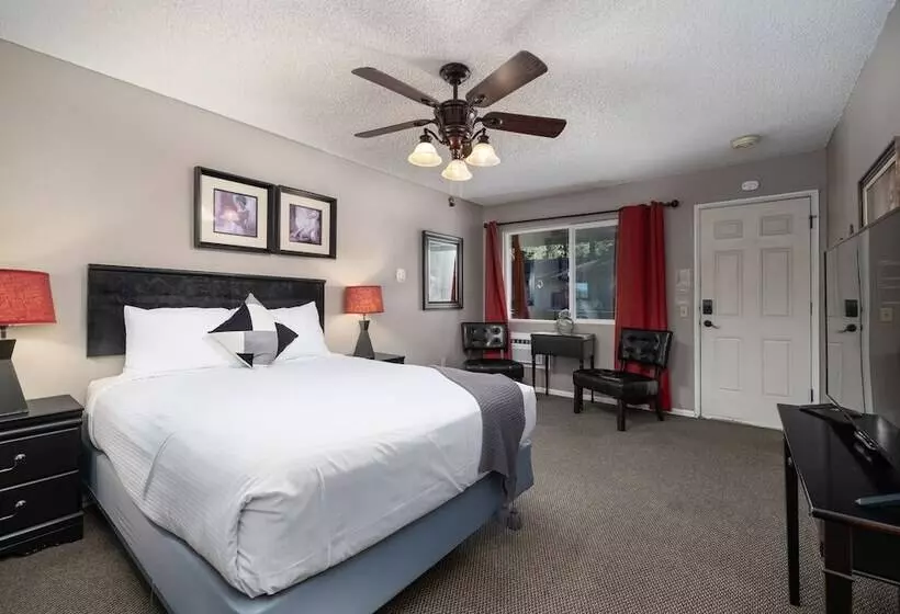 酒店 The Alder Inn