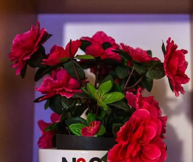 Retkeilymaja Rooms And Apartments S