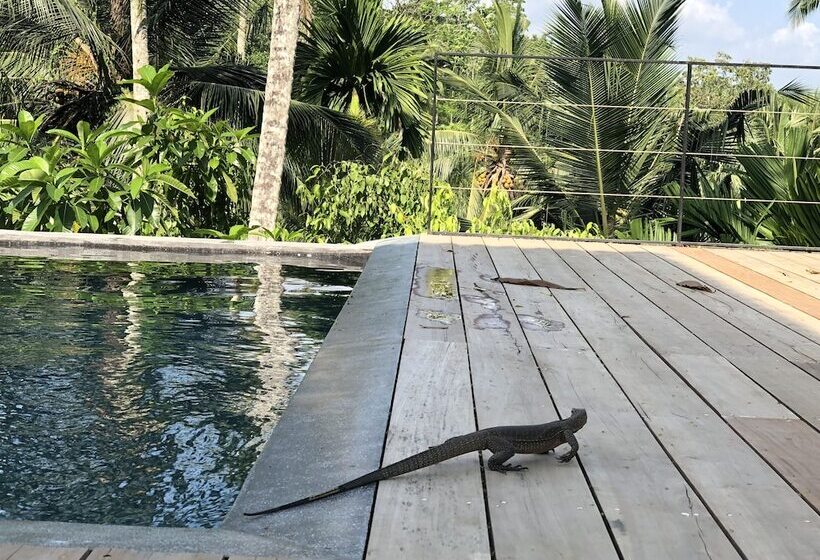 Good Vibes Villas Retreat And Restaurant