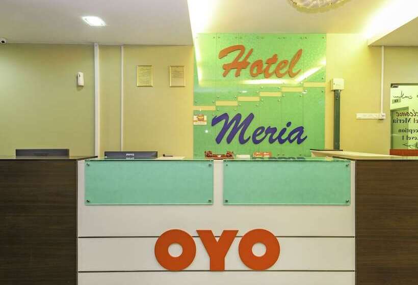 בית מלון כפרי Meria