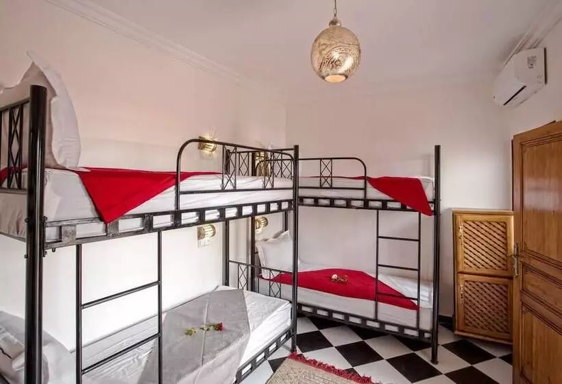 Hostel Amour D Auberge