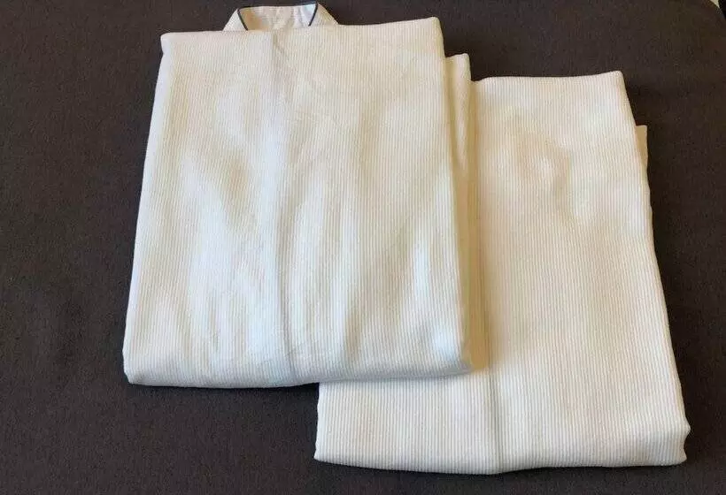 Hotelli Almont Inn Shonanfujisawa