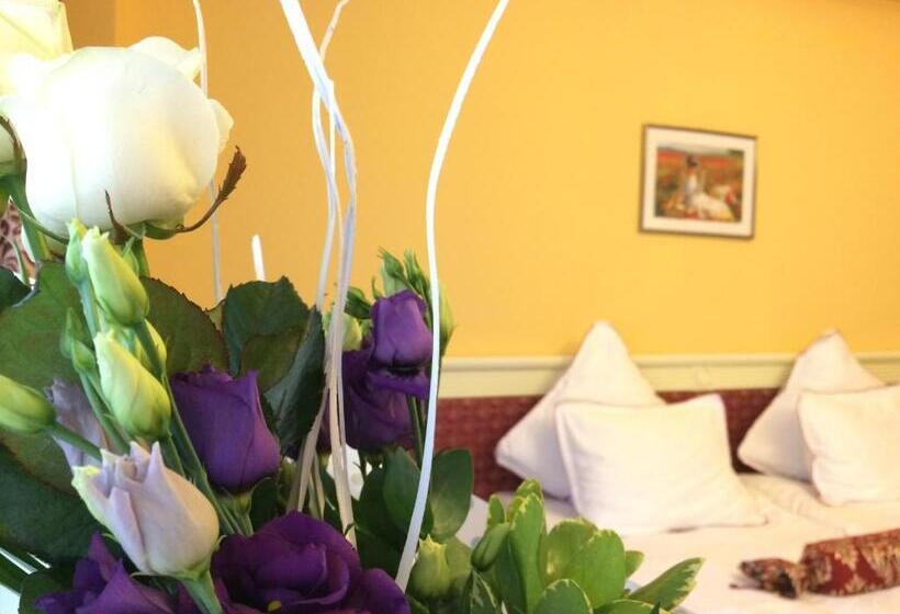 בית מלון כפרי Vila Economat