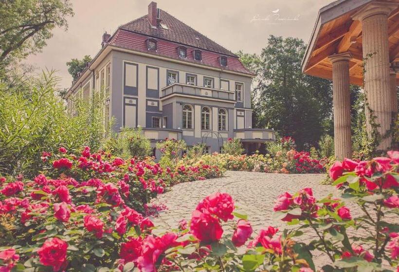 فندق Willa Starosty