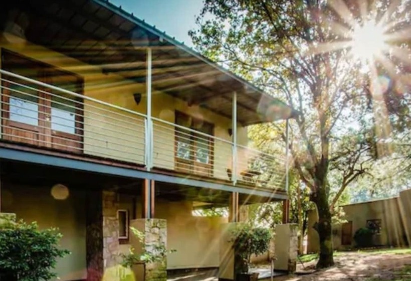 Hotel Willows Boutique