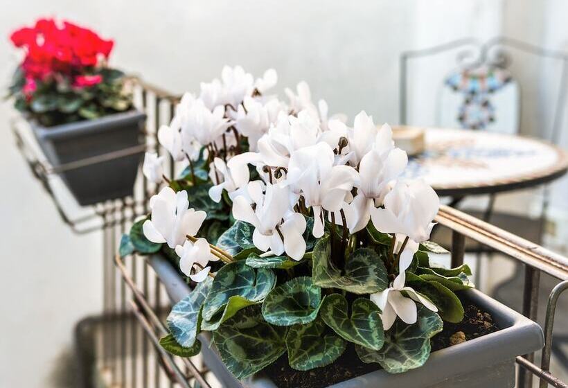 مبيت وإفطار Palazzo Mari