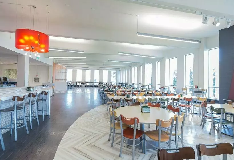 اقامتگاه Carleton University Accommodations