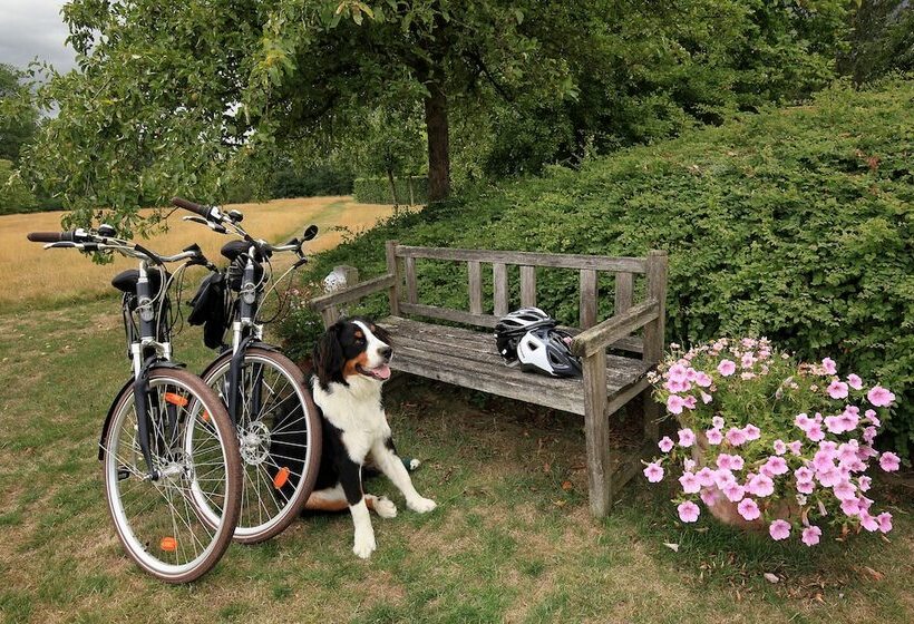 민박 La Petite Bruyere De Renaix