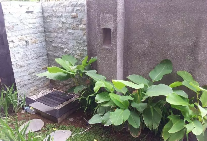 ベッドアンドブレックファースト Villa Kalma Canggu