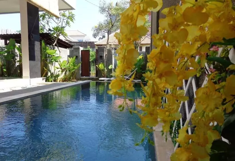 ベッドアンドブレックファースト Villa Kalma Canggu