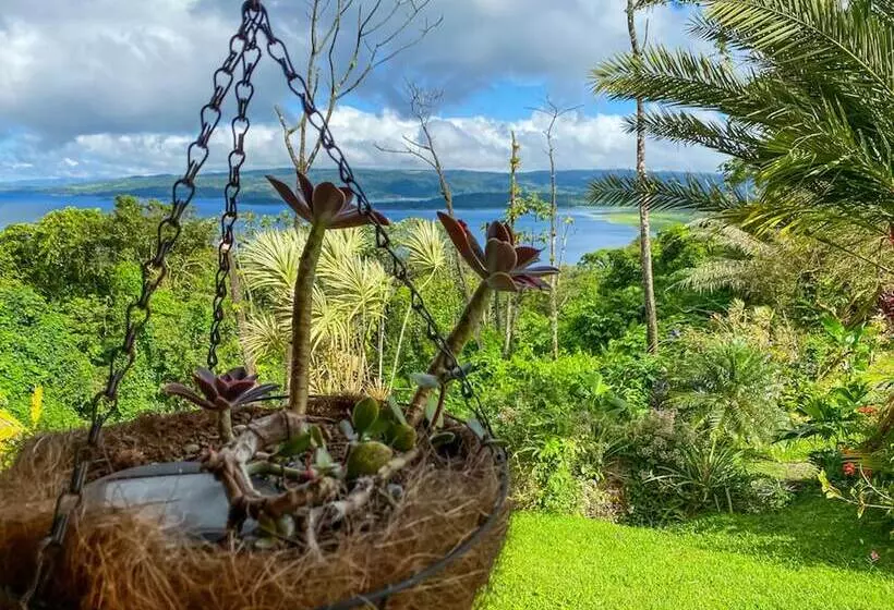 ホテル Arenal Garden Lodge