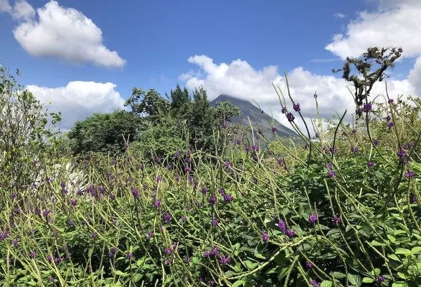 ホテル Arenal Garden Lodge