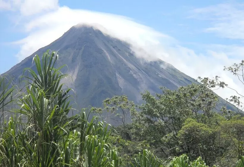ホテル Arenal Garden Lodge