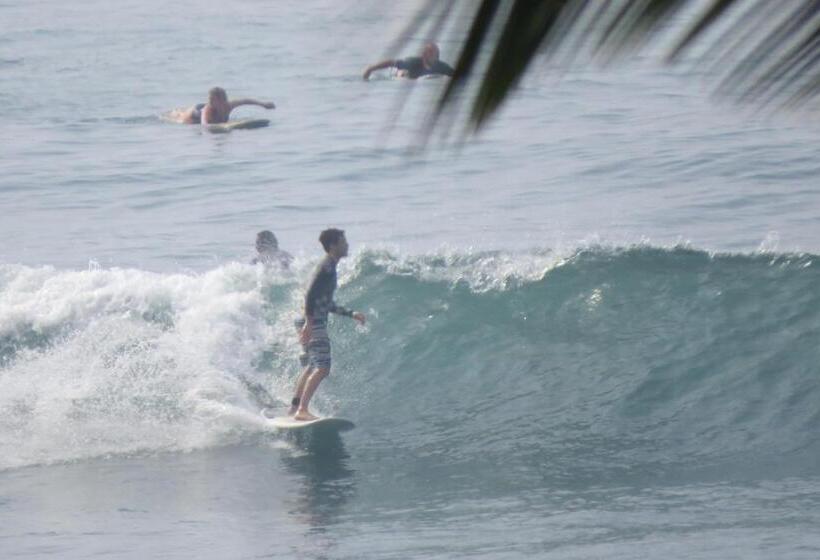 בית מלון כפרי Sailors Mirissa