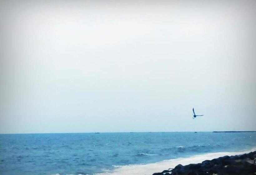 هتل Soorya International