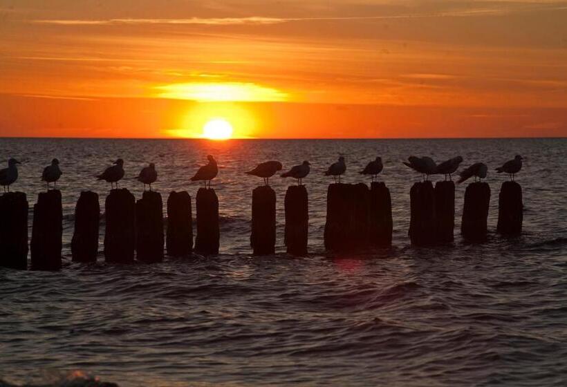 پانسیون Portobello