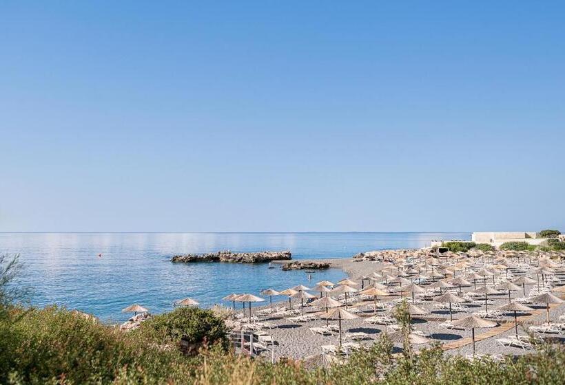 Kakkos Beach Hotel   Adults Only