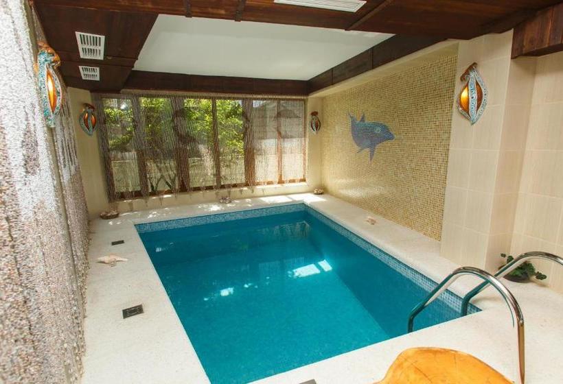 בית מלון כפרי Velia Guesthouse