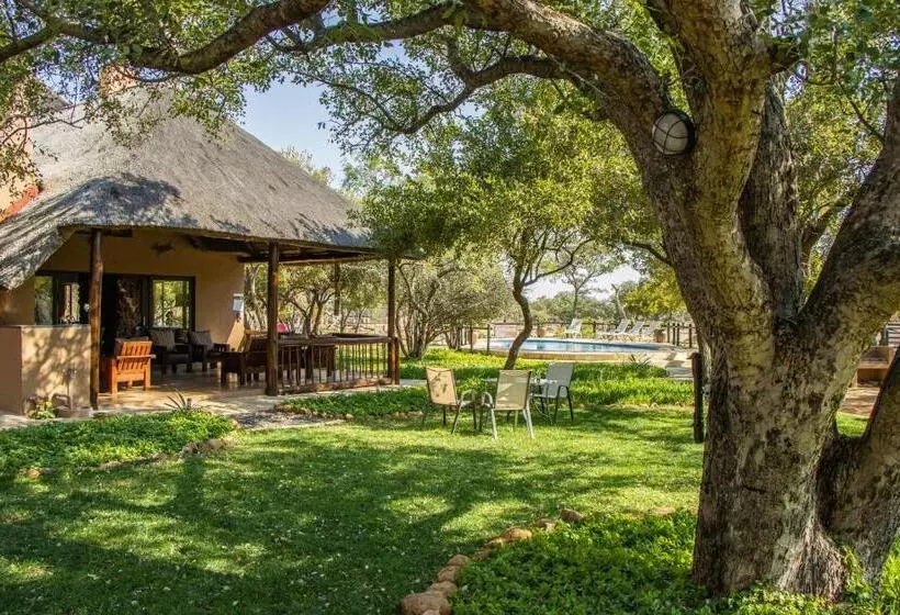 Hotel Golden Impalas Bush Resort