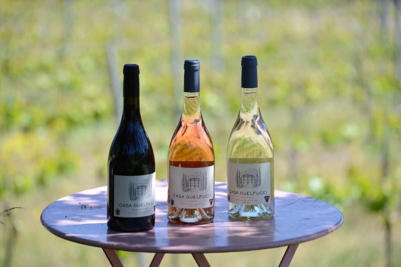 تختخواب و صبحانه Casa Guelfucci