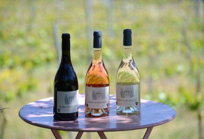 تختخواب و صبحانه Casa Guelfucci