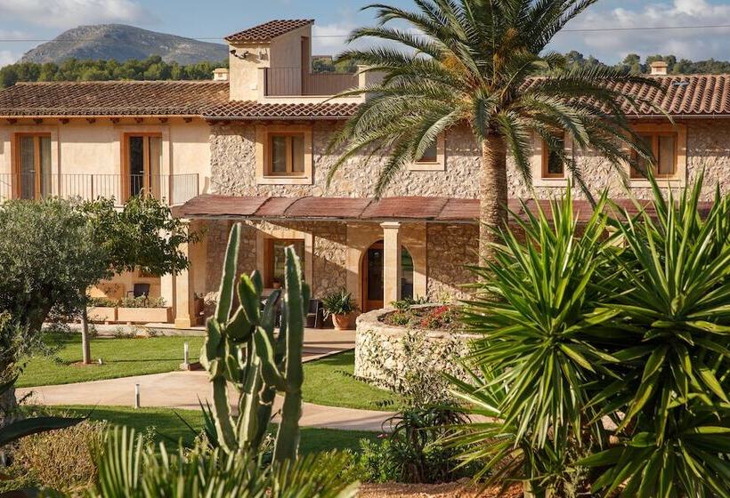 هتل روستایی Agroturismo S'arboçar