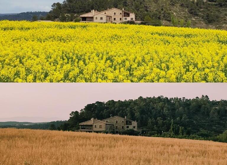 Сельский отель Cal Ros