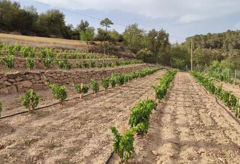 Maaseutuhotelli Cal Ros