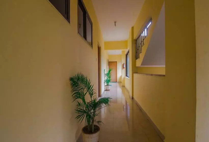 Oyo 14956 Home Graceful 1bhk Vagator