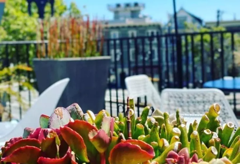 호텔 Beck's Motor Lodge