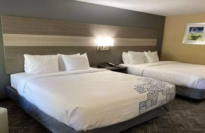 Отель Best Western Apalach Inn