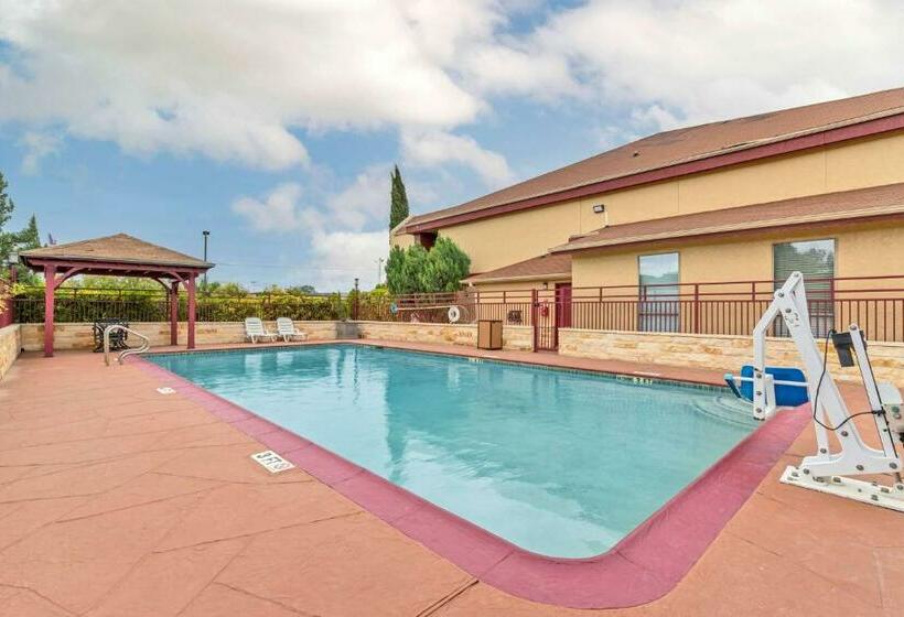 فندق Best Western Brady Inn