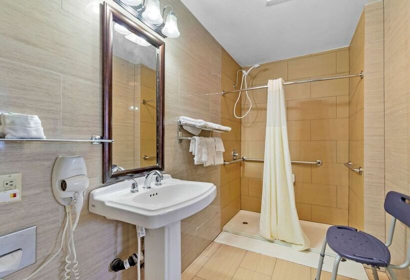 فندق Best Western Brady Inn