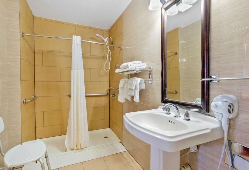 فندق Best Western Brady Inn