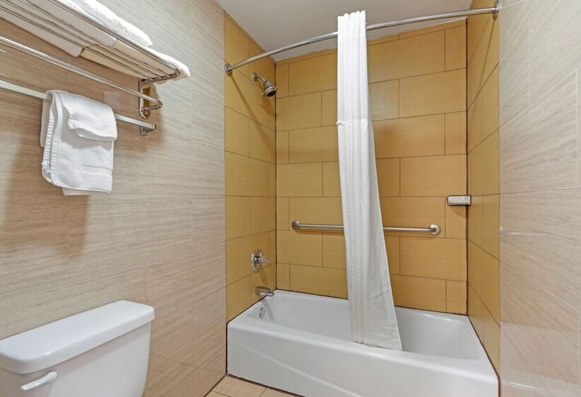 فندق Best Western Brady Inn