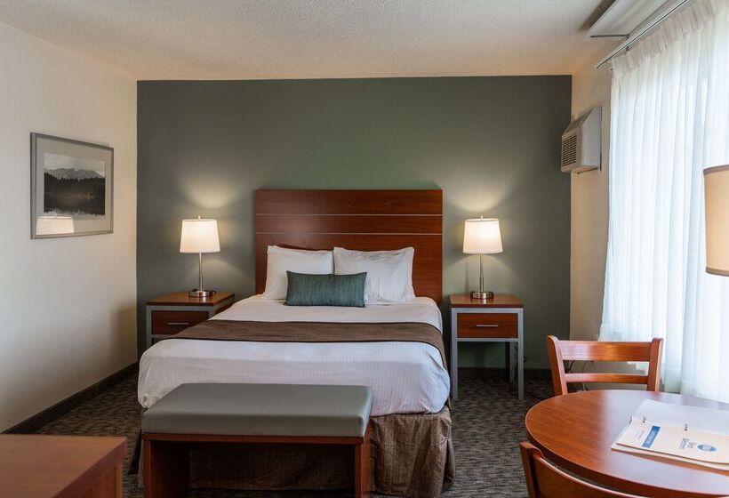 בית מלון כפרי Best Western Buffalo Ridge Inn Near Mt Rushmore