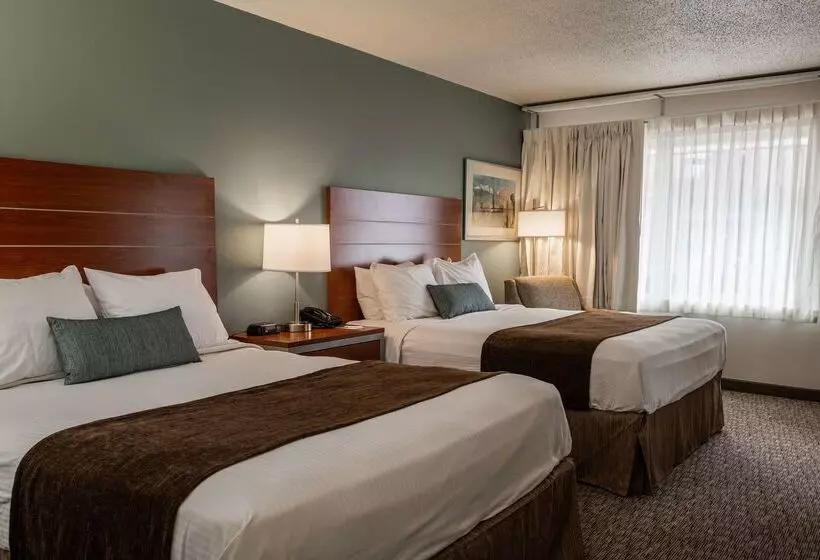 هتل Best Western Buffalo Ridge Inn Near Mt Rushmore