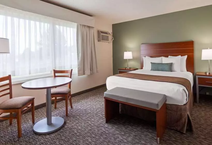 هتل Best Western Buffalo Ridge Inn Near Mt Rushmore