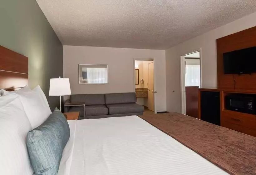 هتل Best Western Buffalo Ridge Inn Near Mt Rushmore