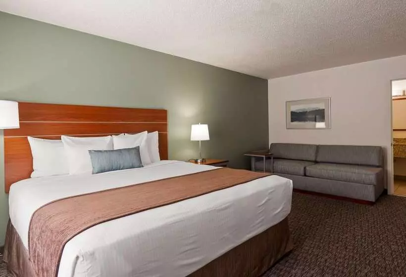 هتل Best Western Buffalo Ridge Inn Near Mt Rushmore