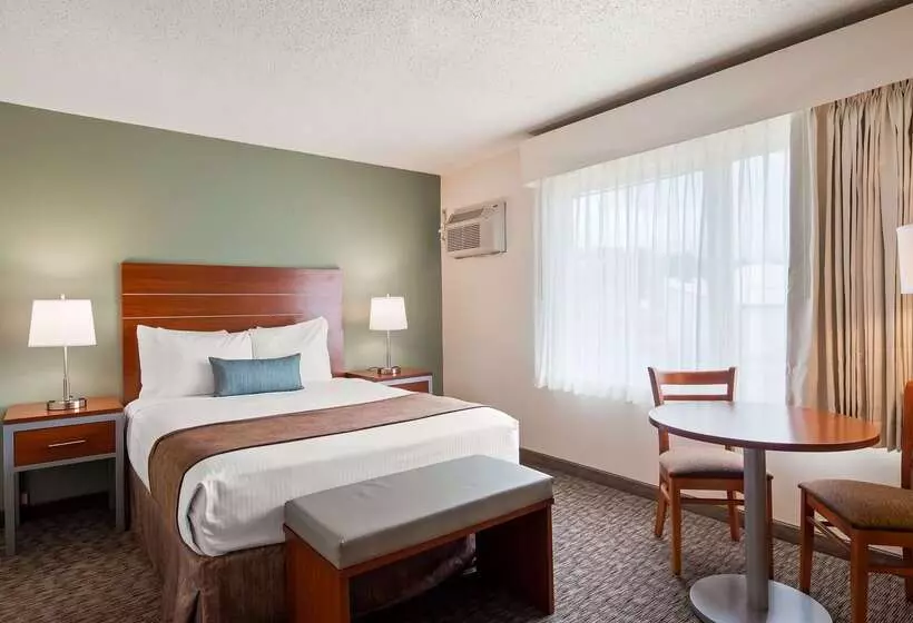 هتل Best Western Buffalo Ridge Inn Near Mt Rushmore