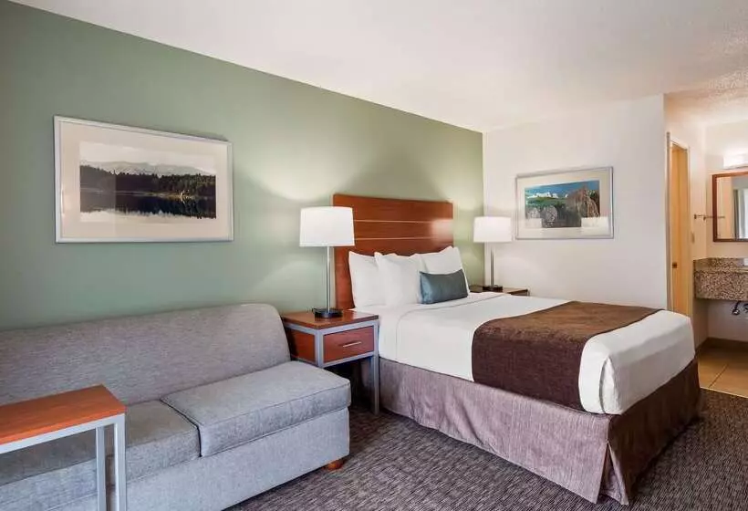 هتل Best Western Buffalo Ridge Inn Near Mt Rushmore