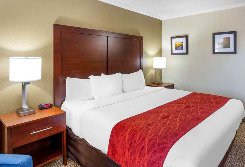 Otel Comfort Inn Hoffman Estates  Schaumburg