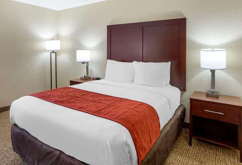 Otel Comfort Inn Hoffman Estates  Schaumburg