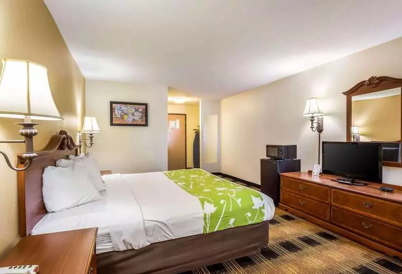 酒店 Econo Lodge Inn & Suites