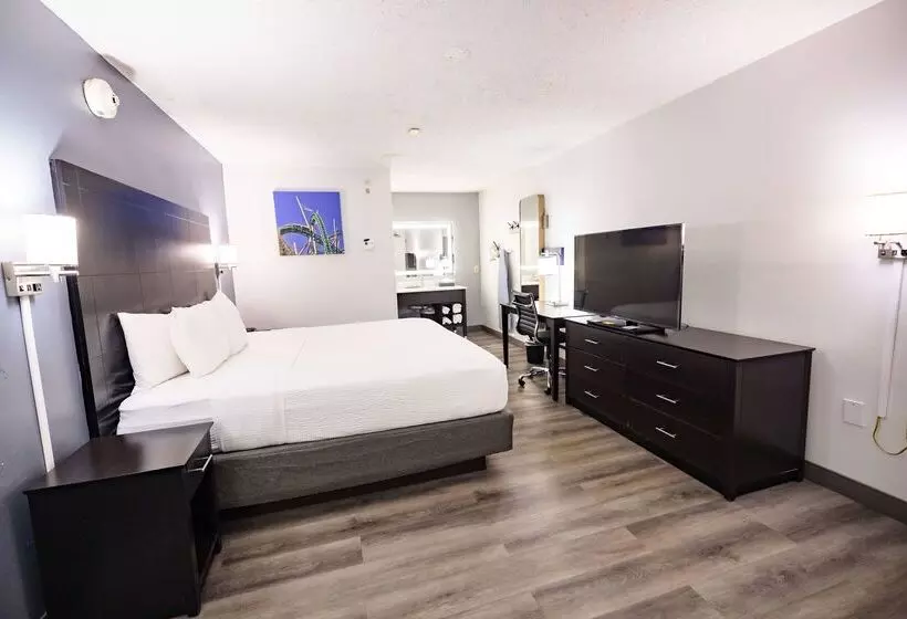 هتل La Quinta Inn By Wyndham Tampa Near Busch Gardens