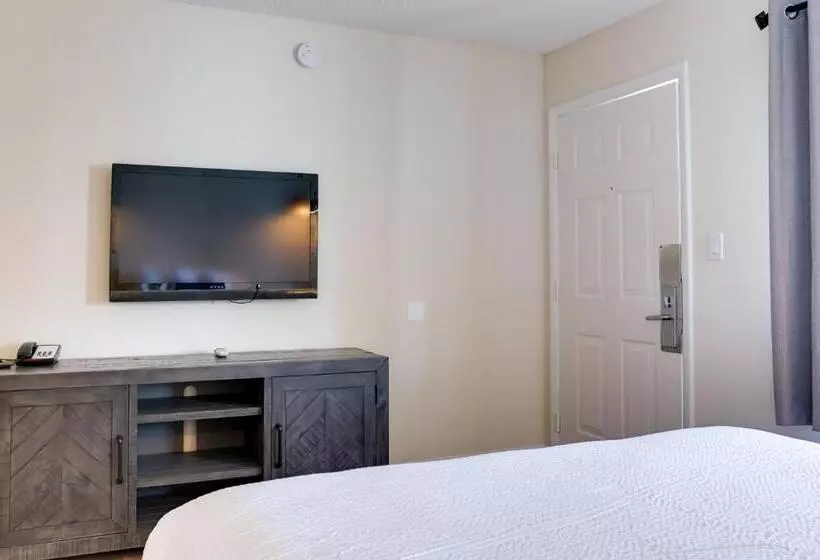 Отель The Shorehouse