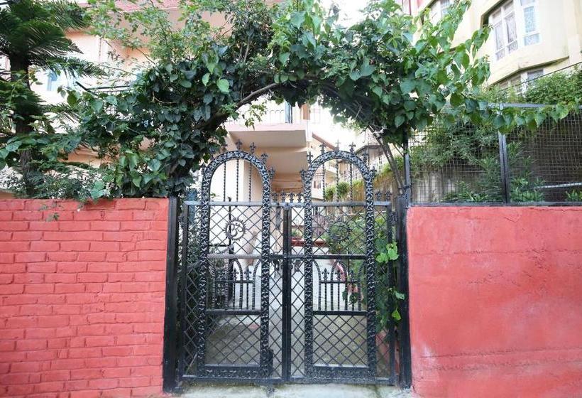 Oyo 9401 Home Valley View 2 Bhk New Shimla