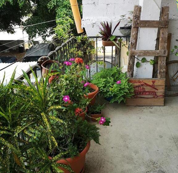 La Terraza Hostel